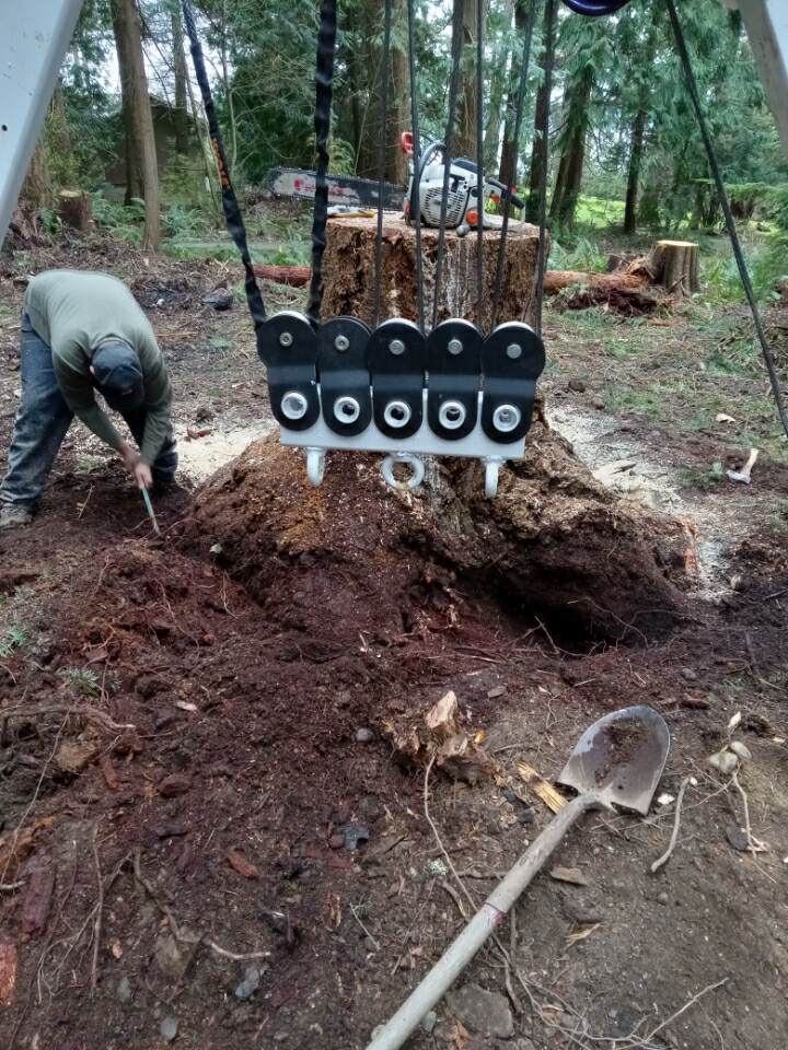 Close view of the custom multi-pulley block above a stump excavation